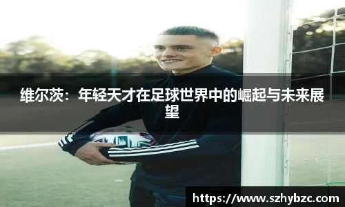 易倍体育官方网站