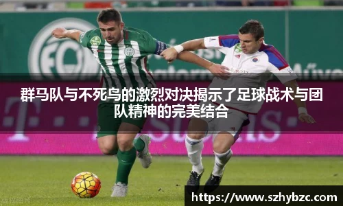群马队与不死鸟的激烈对决揭示了足球战术与团队精神的完美结合