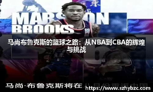 易倍体育官方网站