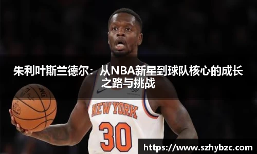 易倍体育EMC